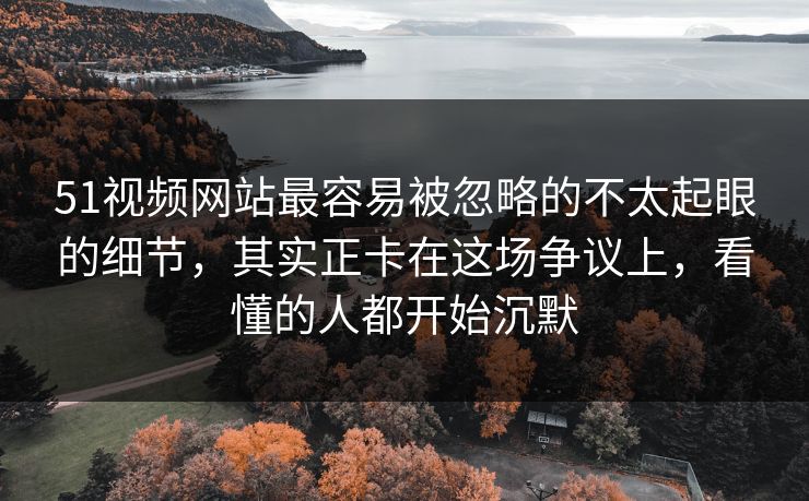 51视频网站最容易被忽略的不太起眼的细节，其实正卡在这场争议上，看懂的人都开始沉默