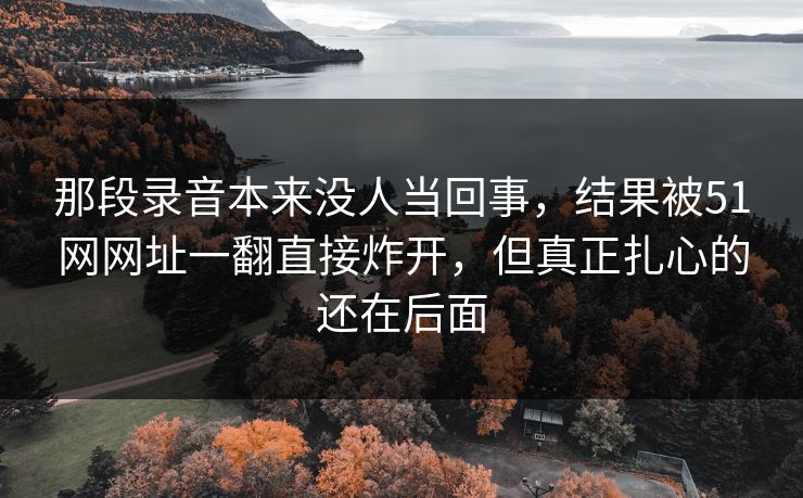 那段录音本来没人当回事，结果被51网网址一翻直接炸开，但真正扎心的还在后面