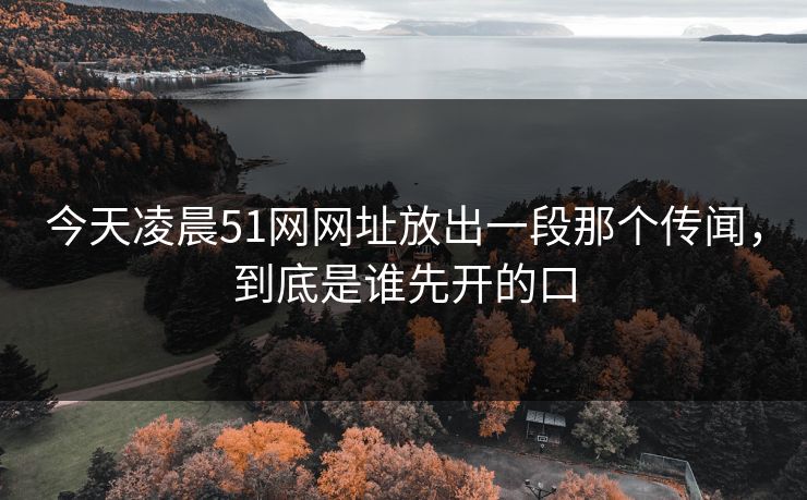 今天凌晨51网网址放出一段那个传闻，到底是谁先开的口